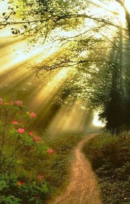 Сборник сказок для детей 