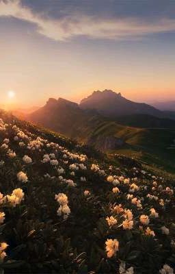 Три месяца длинною в Жизнь или Две недели до Сентября