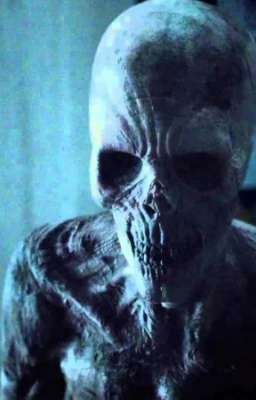 Это наша жизнь. 