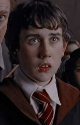 Младшая сестра Гермионы 🦋