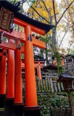 Япония: обычаи, культура, и традиции