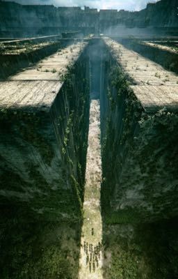 Бегущая по лабиринту 