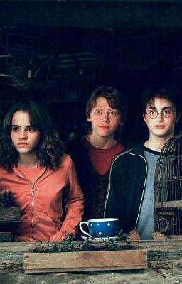 Моя умная любовь