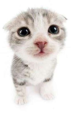 Жизнь в универе