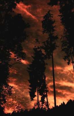 Определëнный ритм. Гарри Поттер. 