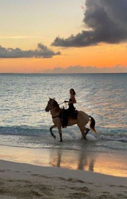 Моя дорогая лошадка | 𝘉𝘺 𝘈𝘴𝘩𝘭𝘪𝘦