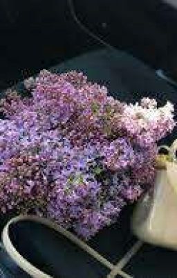 ты моя жизнь