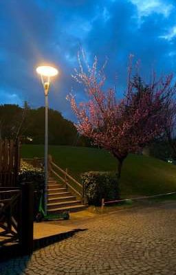 история любви