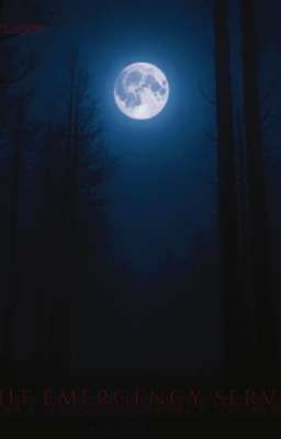 Night Emergency Service (N.E.S) 