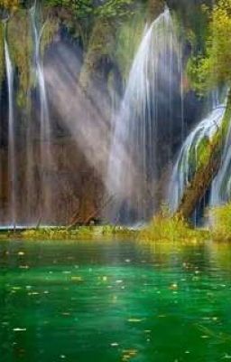 Крылья ангела