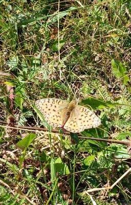 Колыбельная 