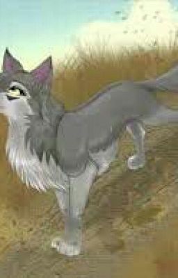 Волки воители. "Жизнь продолжается"