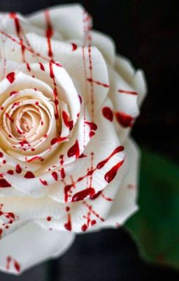 Девушка и Кровавая Роза 🌹