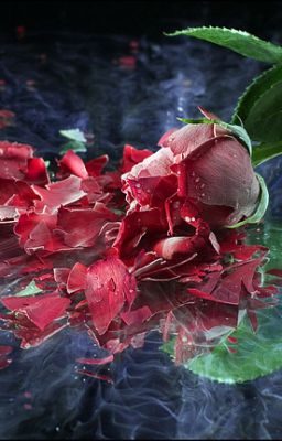 Пожалуйста, уйди...