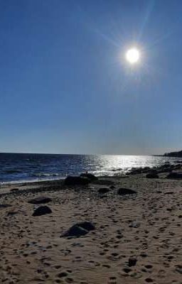 Вилла Де Сарро, или Поместье близ Адриатики