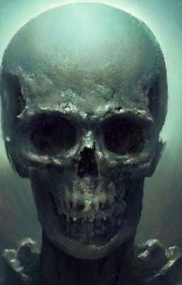 Как живёт создатель 