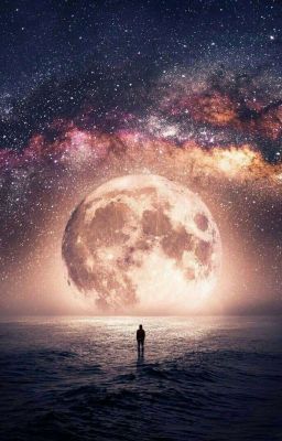 Рассуждения