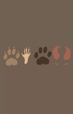 Жизнь После Смерти?...