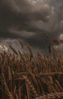 Реальность