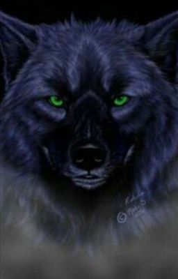 Разберись уже... 