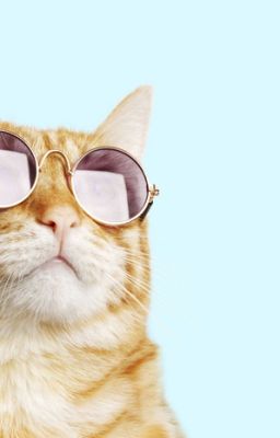 1 апреля- никому не верю. Будь внимательней!