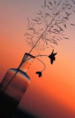 Дар солнца.