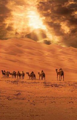 Песчаная Буря