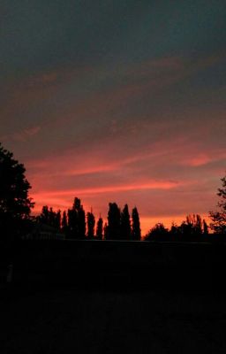 Новая жизнь...