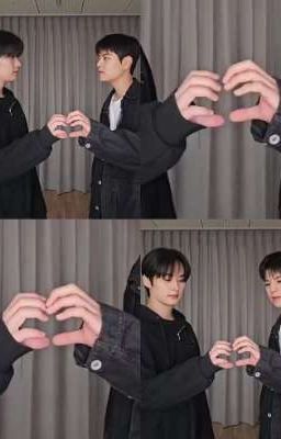 Моя любовь мафия