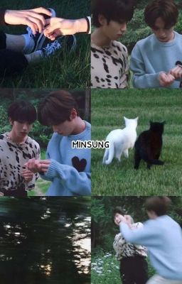 Хорошо,ты выиграл.