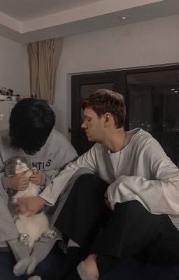 Люблю кошек, и тебя