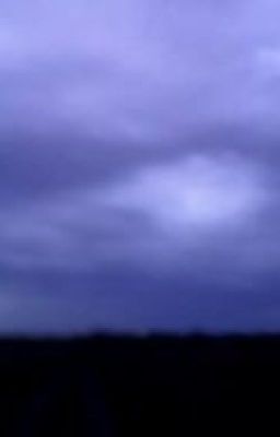 Жестокая жизнь