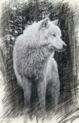 Я и Мой Зверь...-продолжение