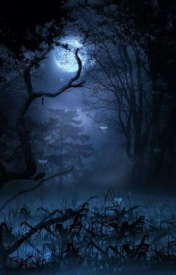 Тайны леса. 