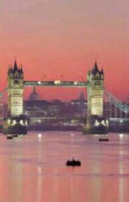 Возводя мосты 🌉 