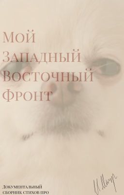 Мой Западный Восточный Фронт