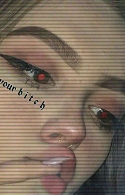 .•°greyhound°•.