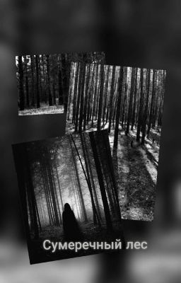 Сумеречный лес 