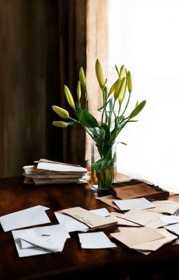 Письма бесконечной гордости 