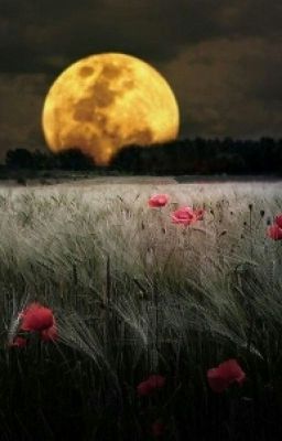 Страшные и Мистические Истории