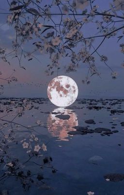 Волшебная река