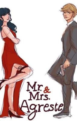 Мистер и Миссис Агрест