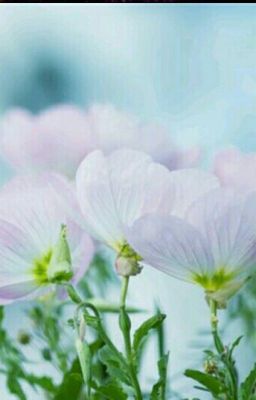 нераскрытые тайны дизни