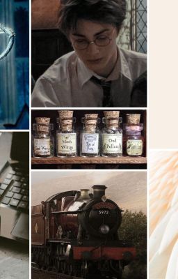 Суд Магии. Кубок Огня