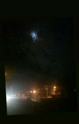 это был просто космический день...