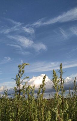 Хромая память