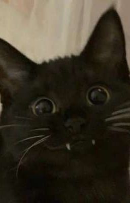 Кровь или смерть 