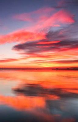 Дневник Жопа единорога