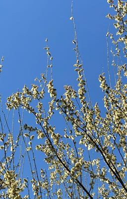 Личный дневник 