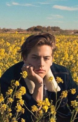 Не трогай мои достоинства, своими недостатками...